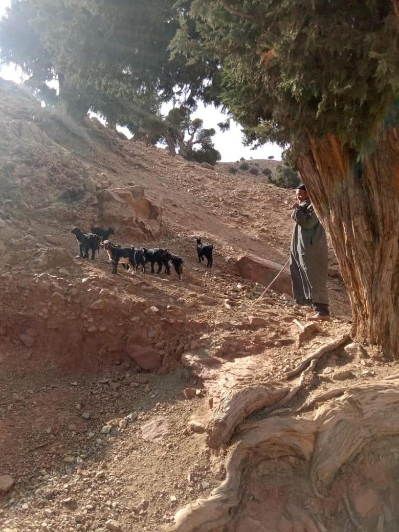 מרקש Tazart Lodge מראה חיצוני תמונה