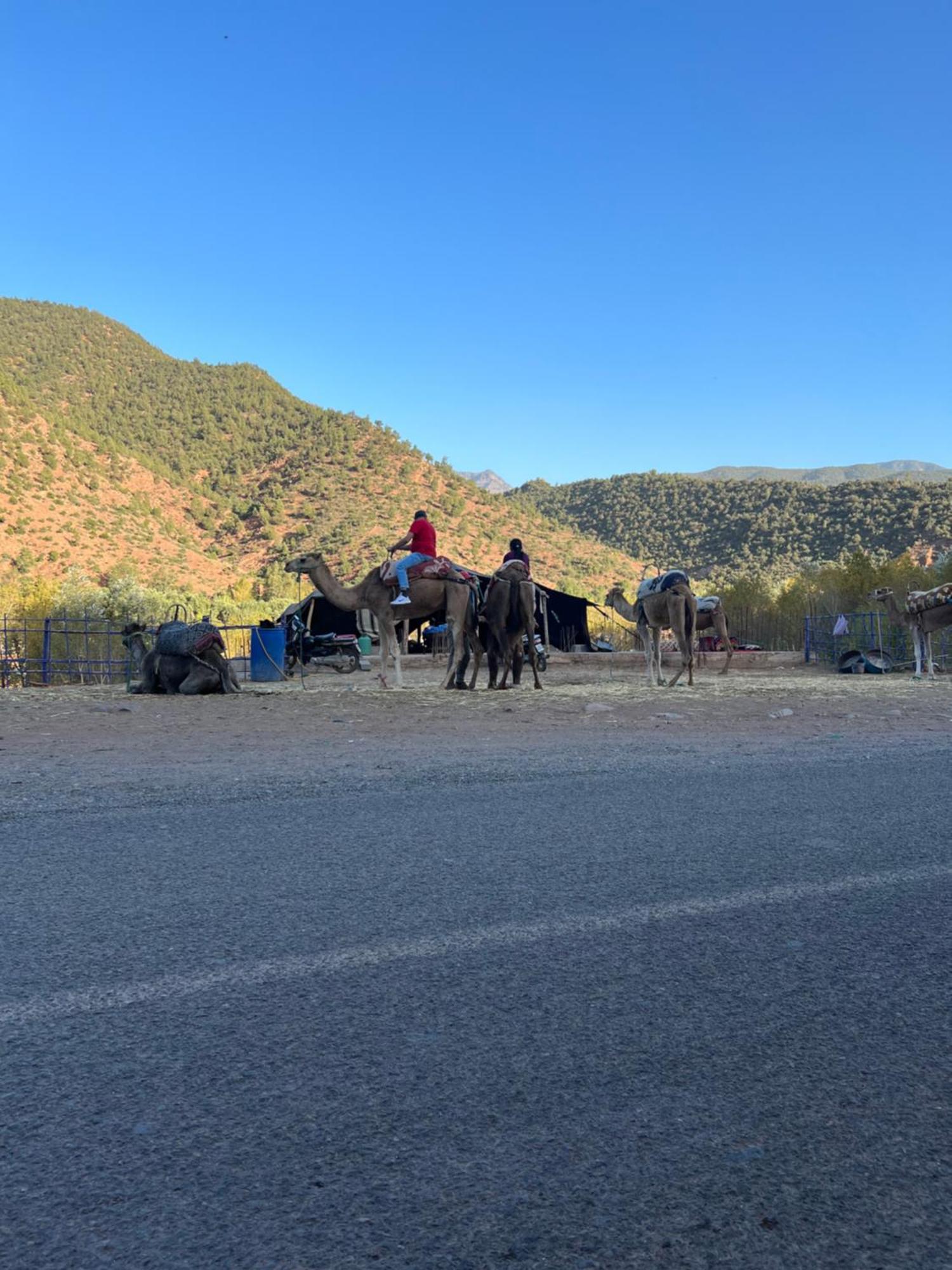 מרקש Tazart Lodge מראה חיצוני תמונה