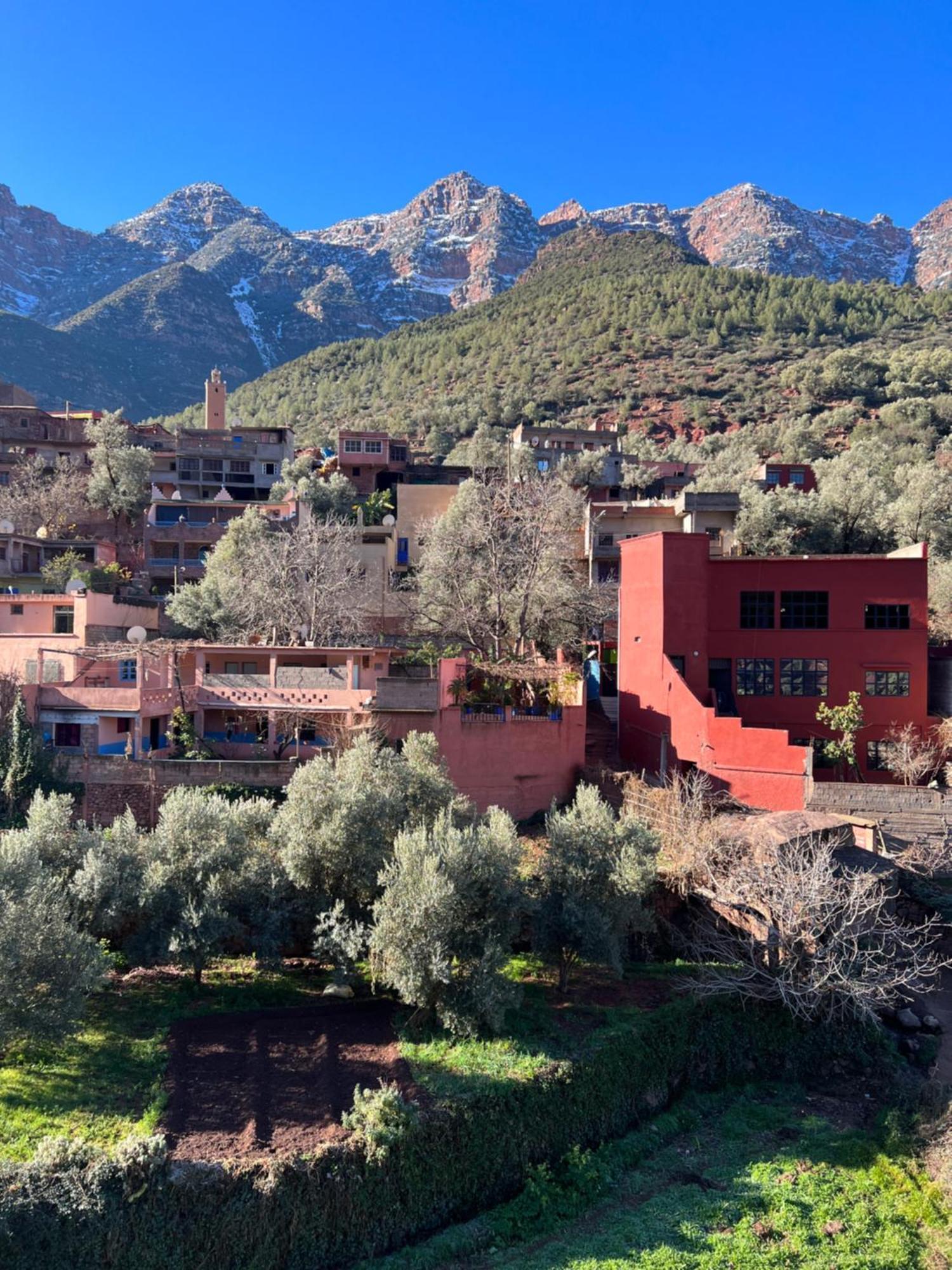 מרקש Tazart Lodge מראה חיצוני תמונה